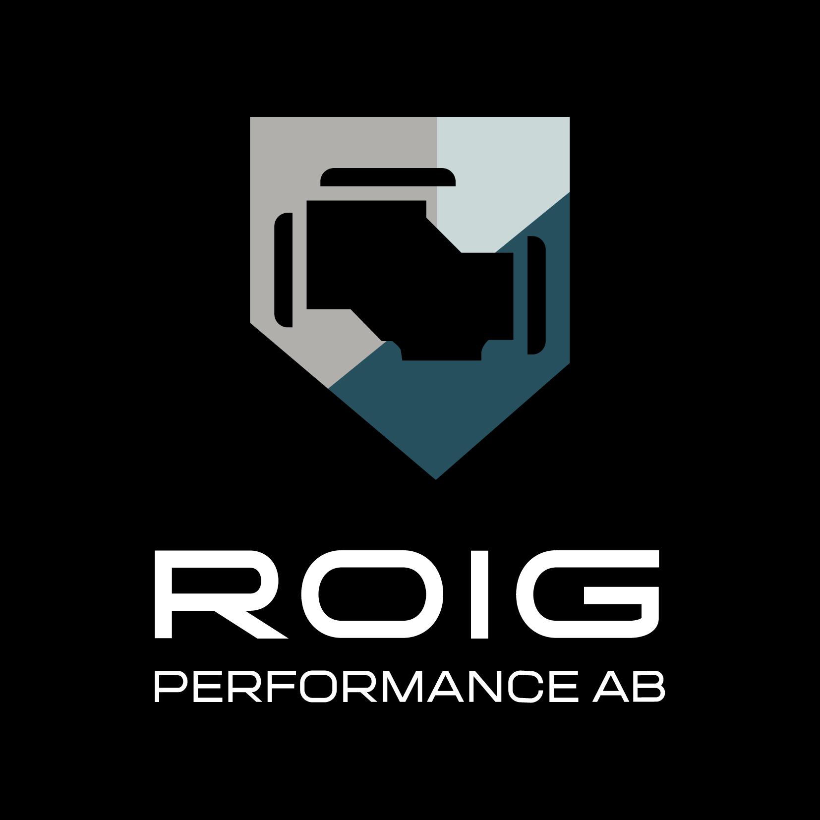 ROIG Performance - Motoroptimering Söderhamn
